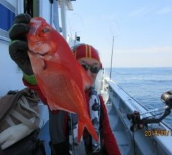 太郎丸 釣果