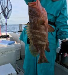 さぶろう丸 釣果