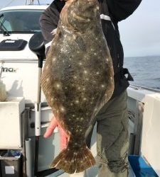 さぶろう丸 釣果