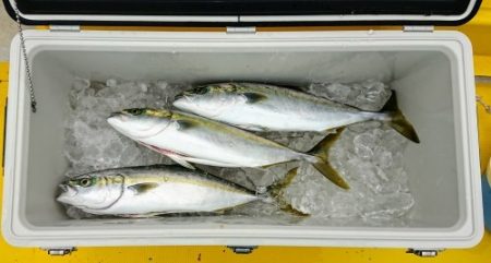 火遠理丸（ほおりまる） 釣果