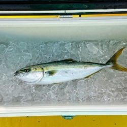 火遠理丸（ほおりまる） 釣果