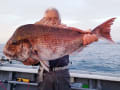 里輝丸 釣果