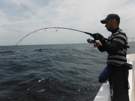 開進丸 釣果