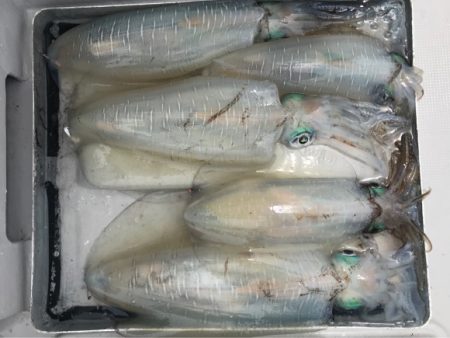 まると屋 釣果