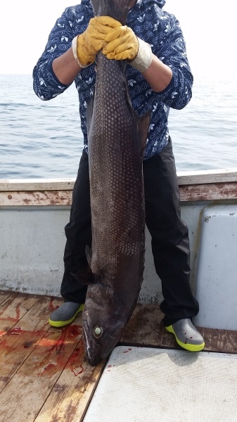 小海途 釣果