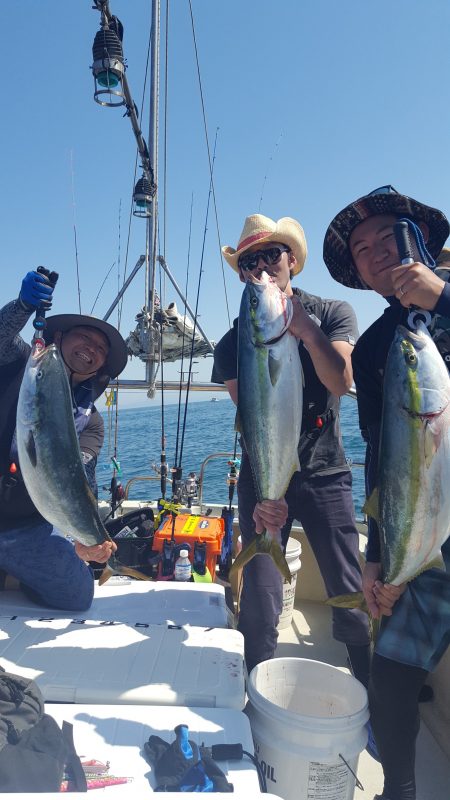 海峰 釣果