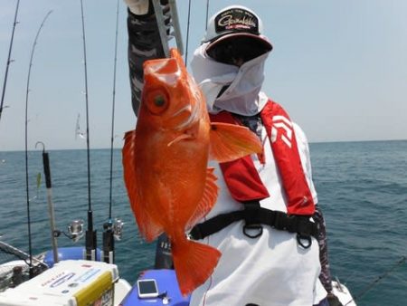 開進丸 釣果