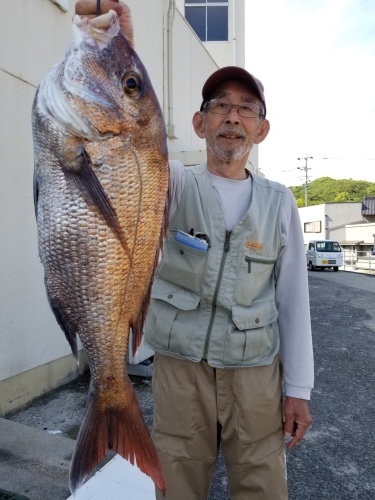 桑田観光 釣果