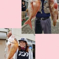 桑田観光 釣果