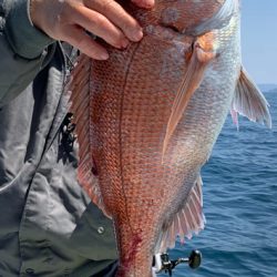 海夢偉 釣果