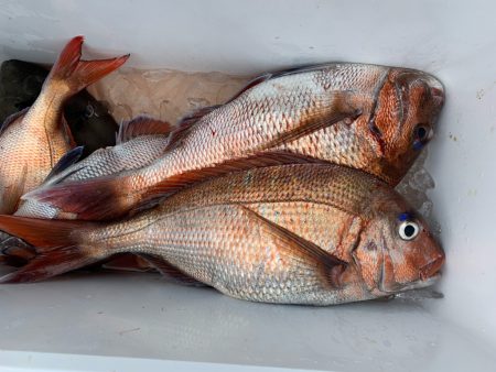 海夢偉 釣果