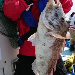 宝生丸 釣果