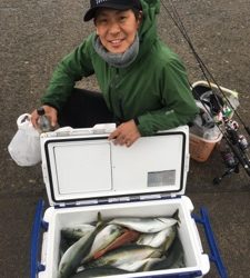 シーモンキー 釣果