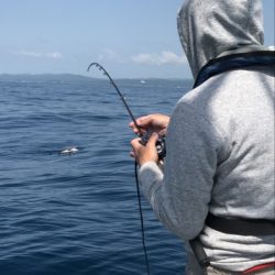 たいし丸 釣果