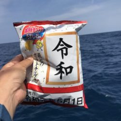 たいし丸 釣果