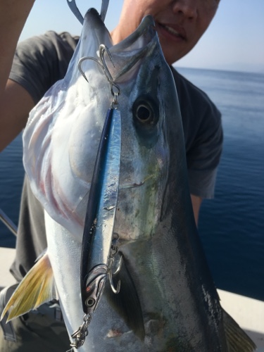 シーモンキー 釣果