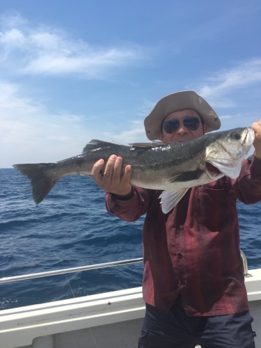 シーモンキー 釣果