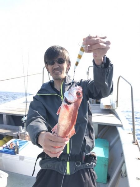 たいし丸 釣果