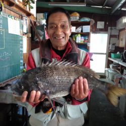 ふじや釣舟店 釣果