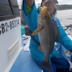 佐衛美丸 釣果