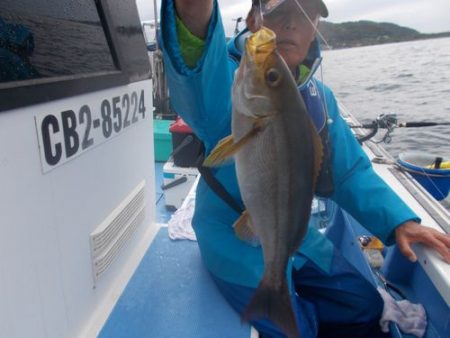 佐衛美丸 釣果