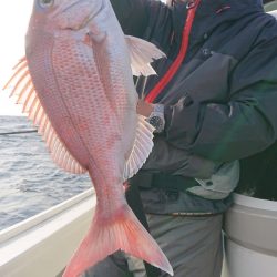 だて丸 釣果