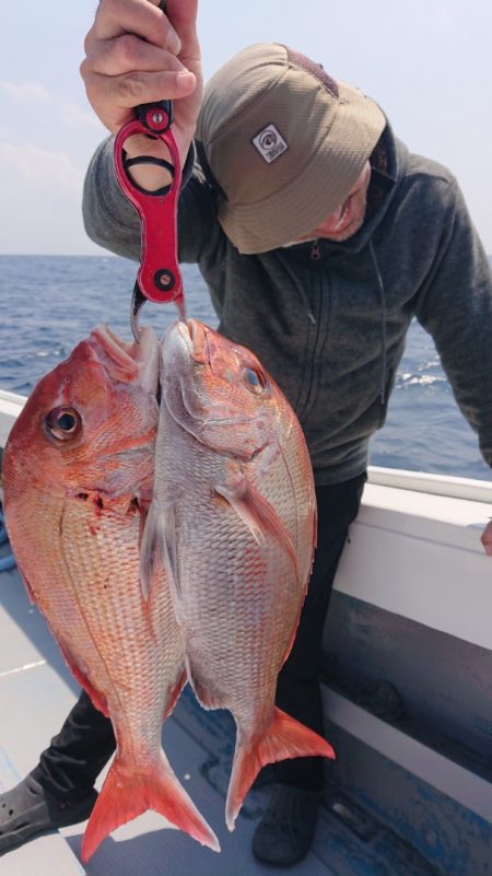 だて丸 釣果