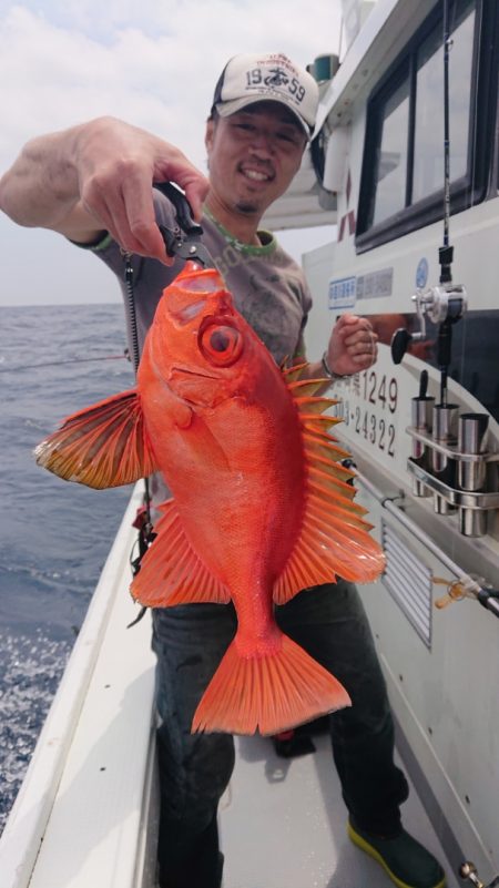 だて丸 釣果