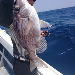 だて丸 釣果