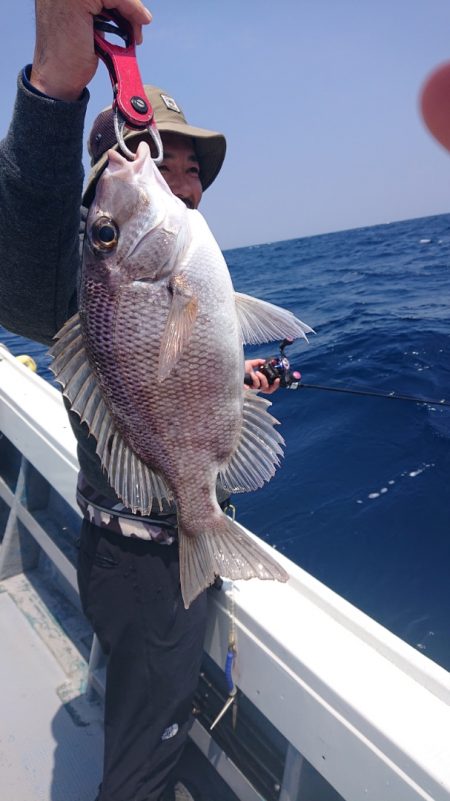 だて丸 釣果