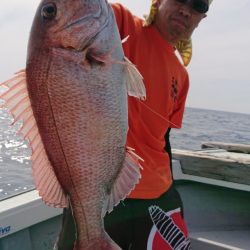 鷹王丸 釣果