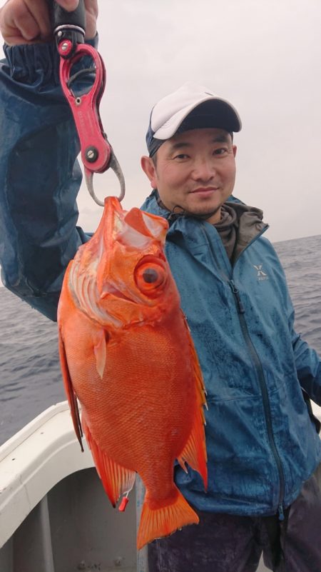 だて丸 釣果