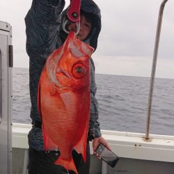 だて丸 釣果