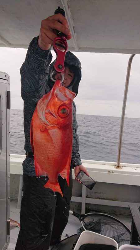 だて丸 釣果