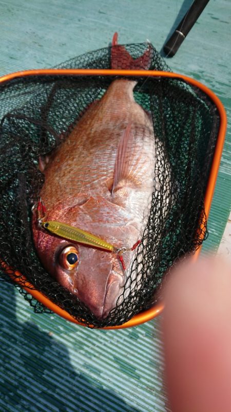 鷹王丸 釣果