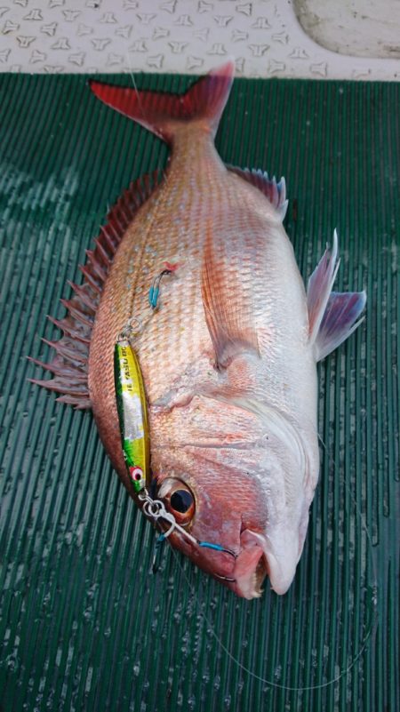 鷹王丸 釣果