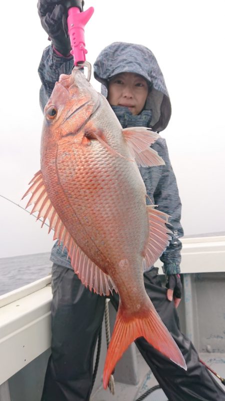 だて丸 釣果