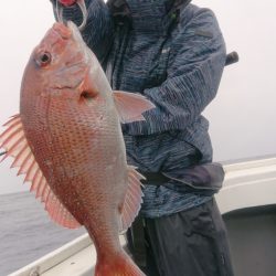 だて丸 釣果