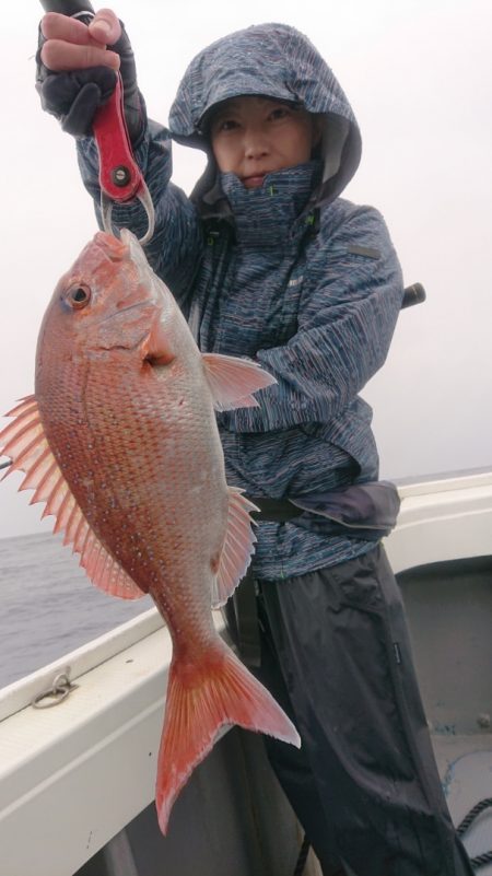 だて丸 釣果