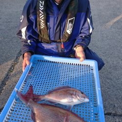 第三共栄丸 釣果