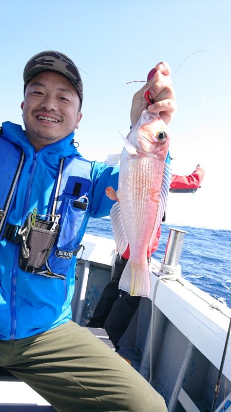 だて丸 釣果