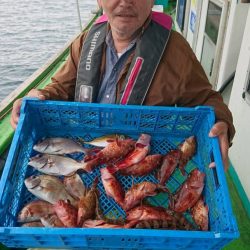 小島丸 釣果