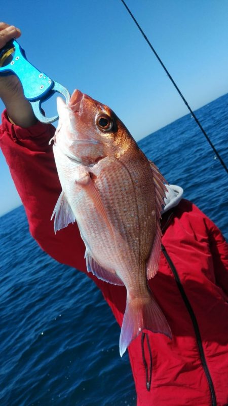 新幸丸 釣果