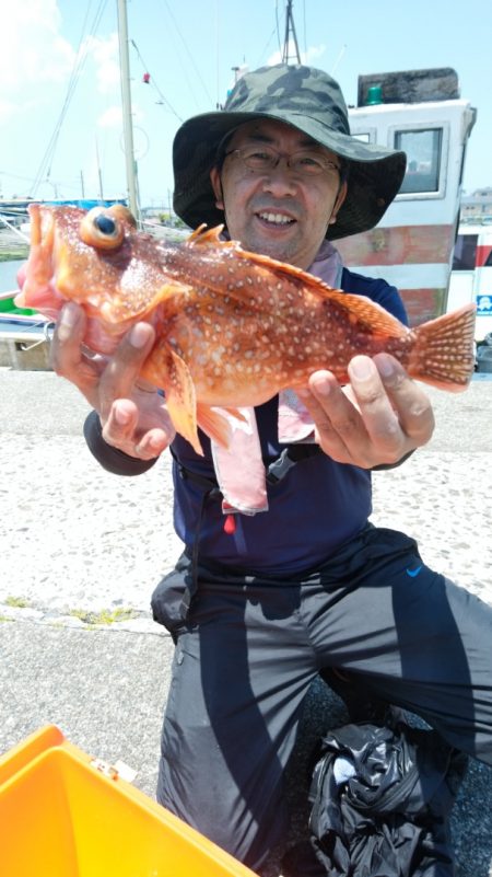 富士丸 釣果