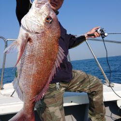 だて丸 釣果