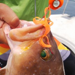 タイラバ遊漁船 ワンピース 釣果