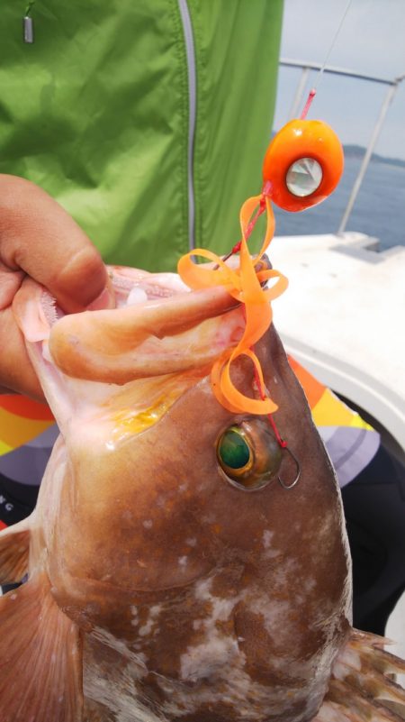 タイラバ遊漁船 ワンピース 釣果