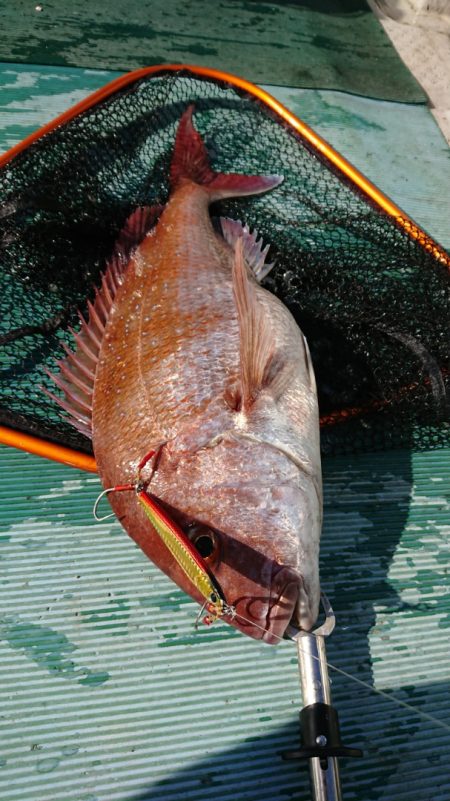 鷹王丸 釣果