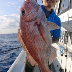 だて丸 釣果