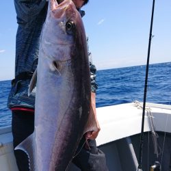 だて丸 釣果